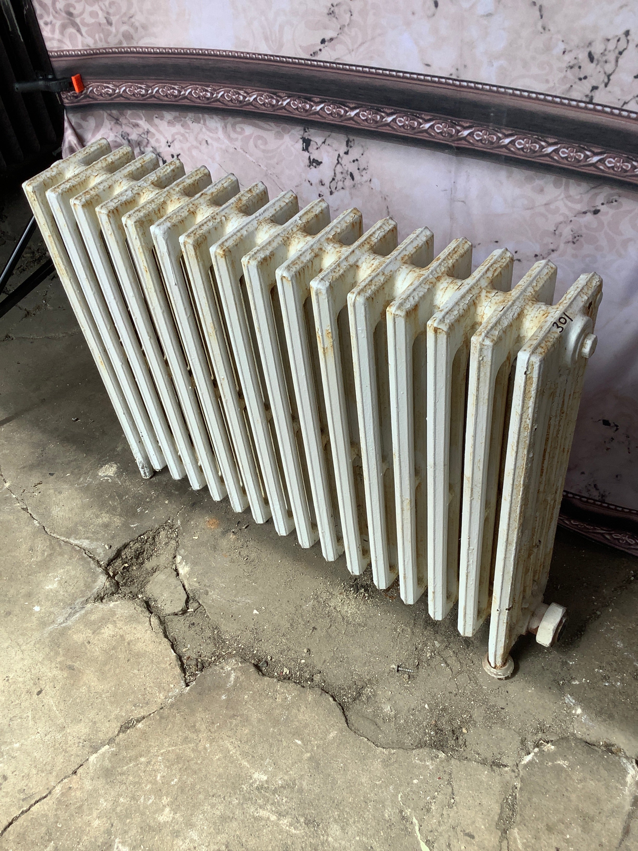 Radiator301