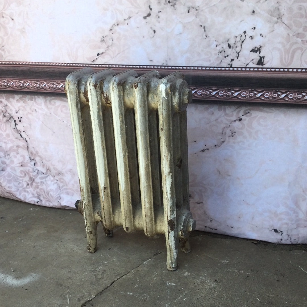 Radiator307